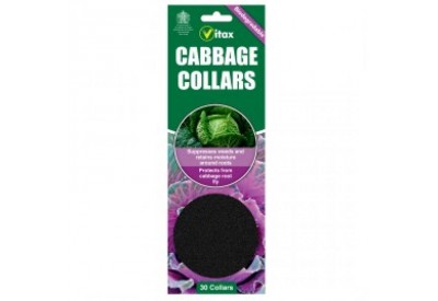Vitax Biodegradable Cabbage Collars (30 collars)